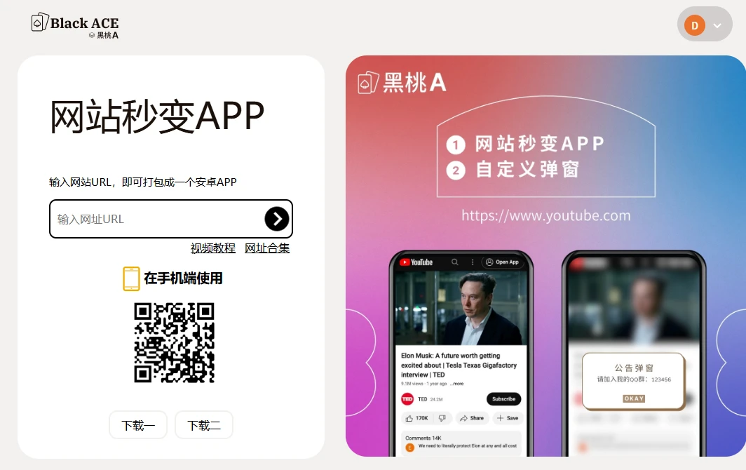 BlackACE 黑桃A (图1)