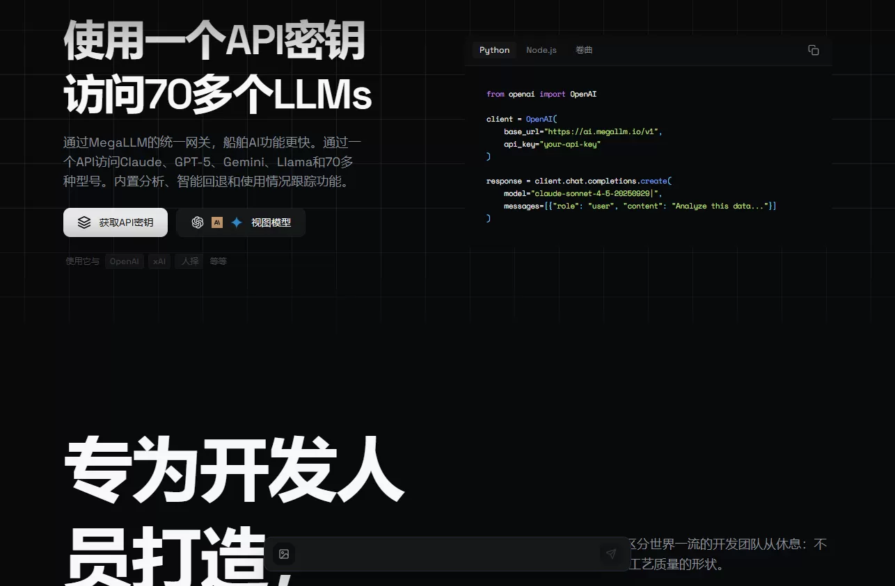 MegaLLM(图1) MegaLLM(图1)