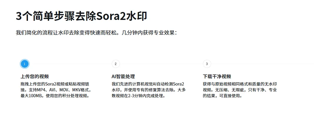Sora2WatermarkRemover(图2)